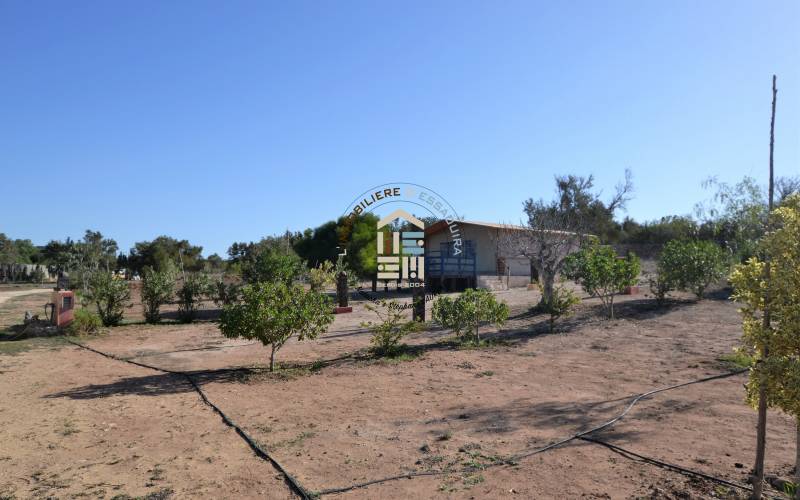 Camping-Caravaning (26)